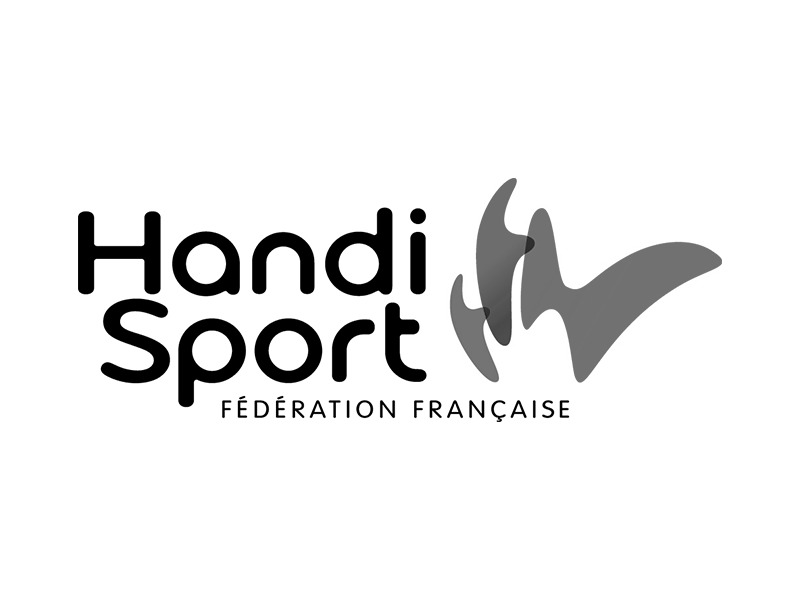 Handisport